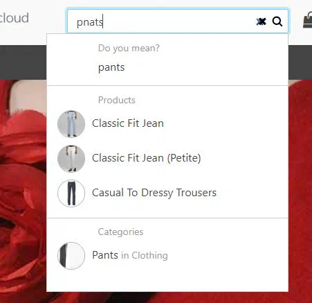 Search suggestions for the misspelled query 'pnats,' showing a 'Do you mean: pants' correction with matching products and categories.