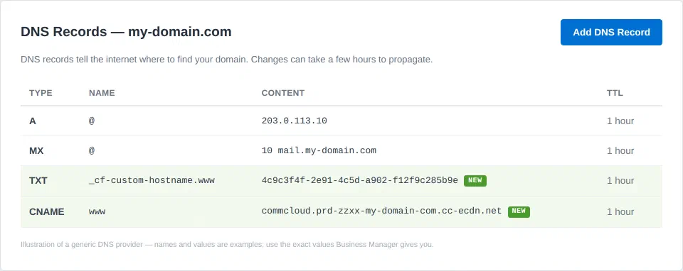 DNS record table with a TXT verification record and a CNAME to the eCDN marked as new.