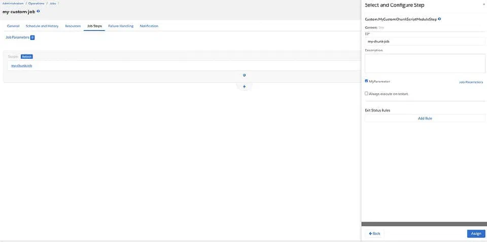 Chunk-oriented job step configuration screen in Business Manager.