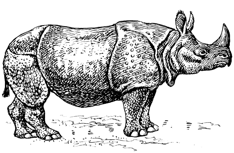 apache rhino engine